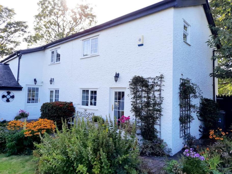 Rhos Y Bel Cottage Angelsey Llangadwaladr  Extérieur photo